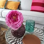 Large 800m From The 90 Square Meters Oostende