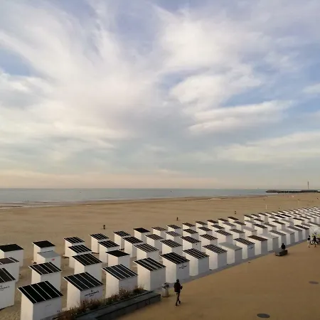 Large 800m From The 90 Square Meters * Ostend