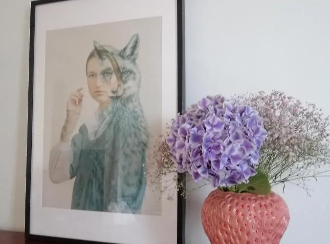 Large 800m From The 90 Square Meters *