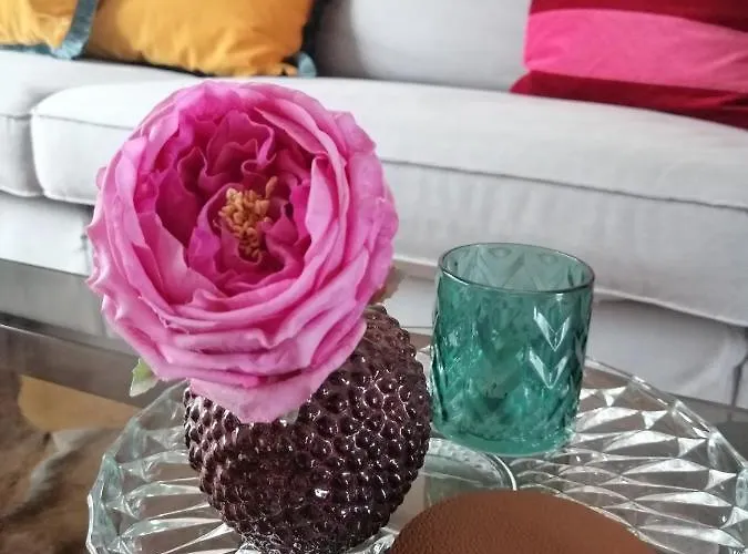 Large 800m From The 90 Square Meters オステンド