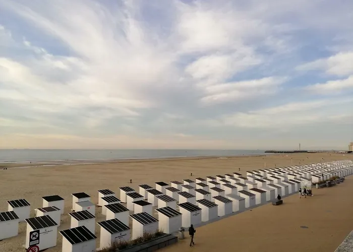 Large 800m From The 90 Square Meters * オステンド